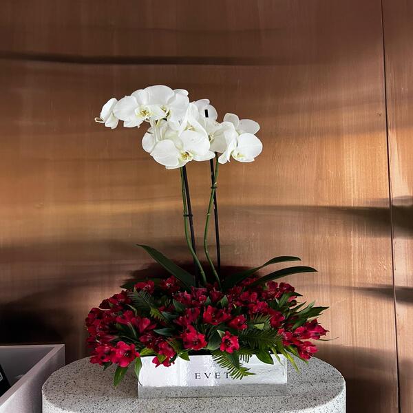 de89391c_WhatsApp Image 2026-03-29 at 12.47.07 PM (1).jpeg